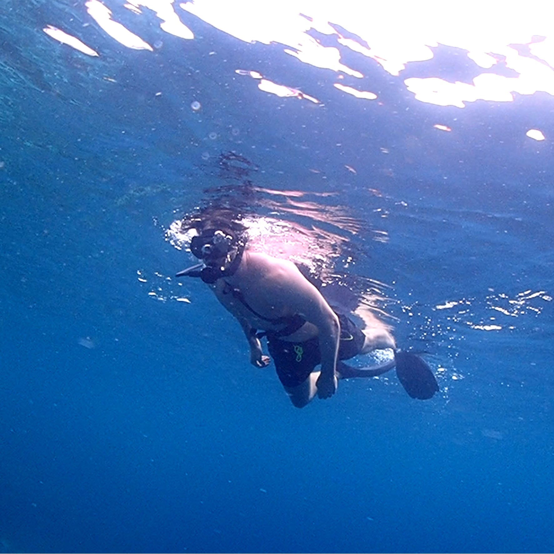 Why Buy a Small Diving Bottle | Top 5 Uses for 2026