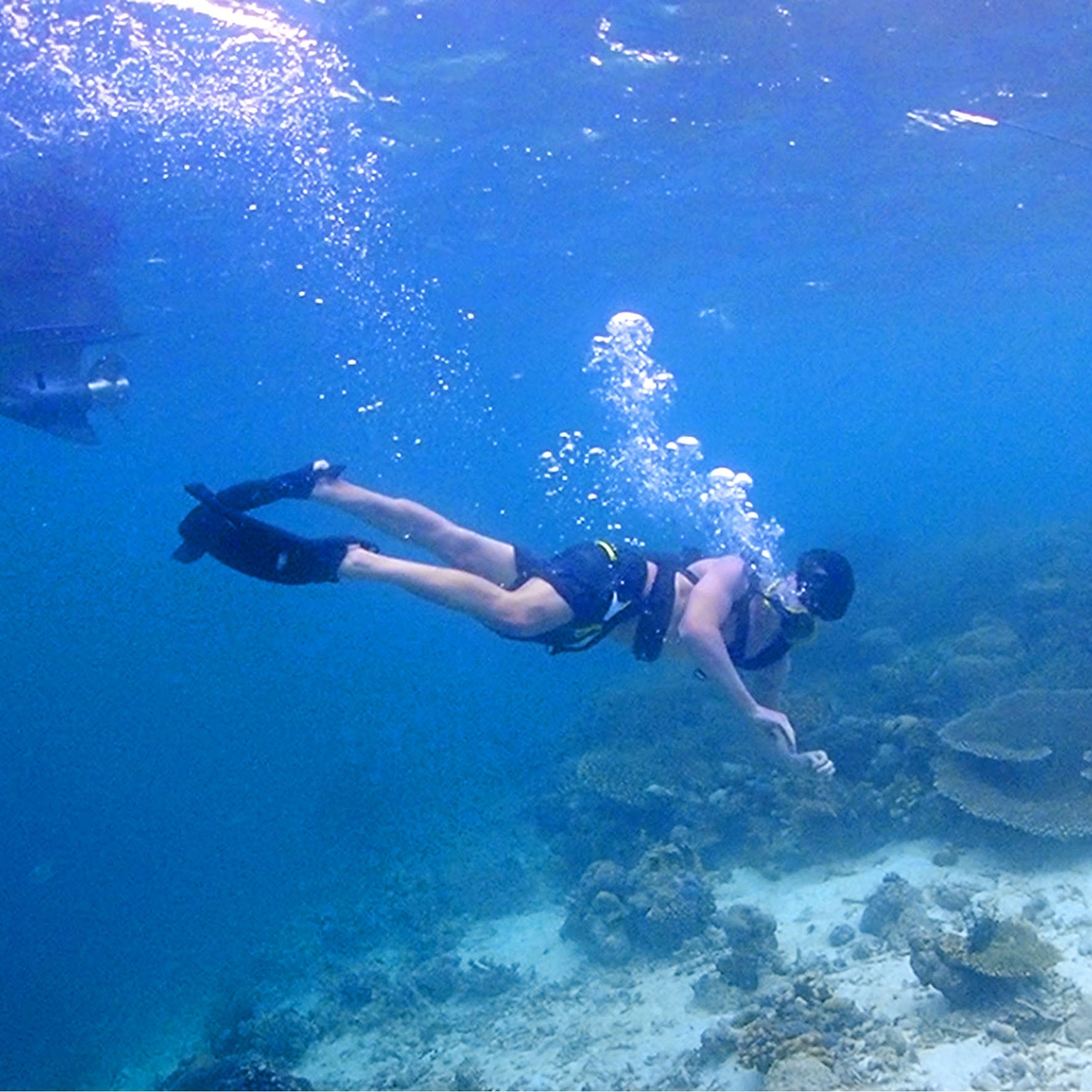 How Mini Scuba Tanks Improve Dive Mobility | Weight, Handling, Comfort