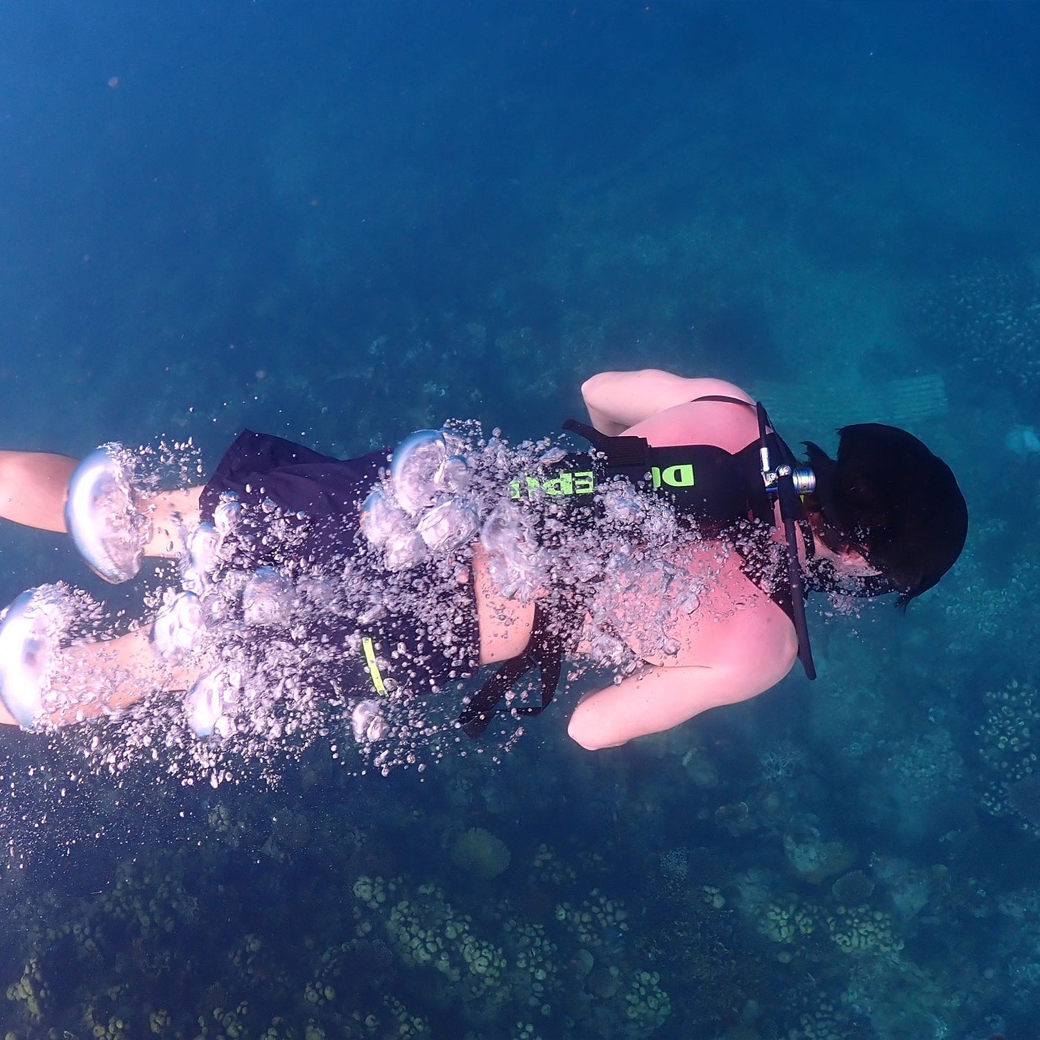 Maintain mini cylinder: 6 cleaning tips for longer life