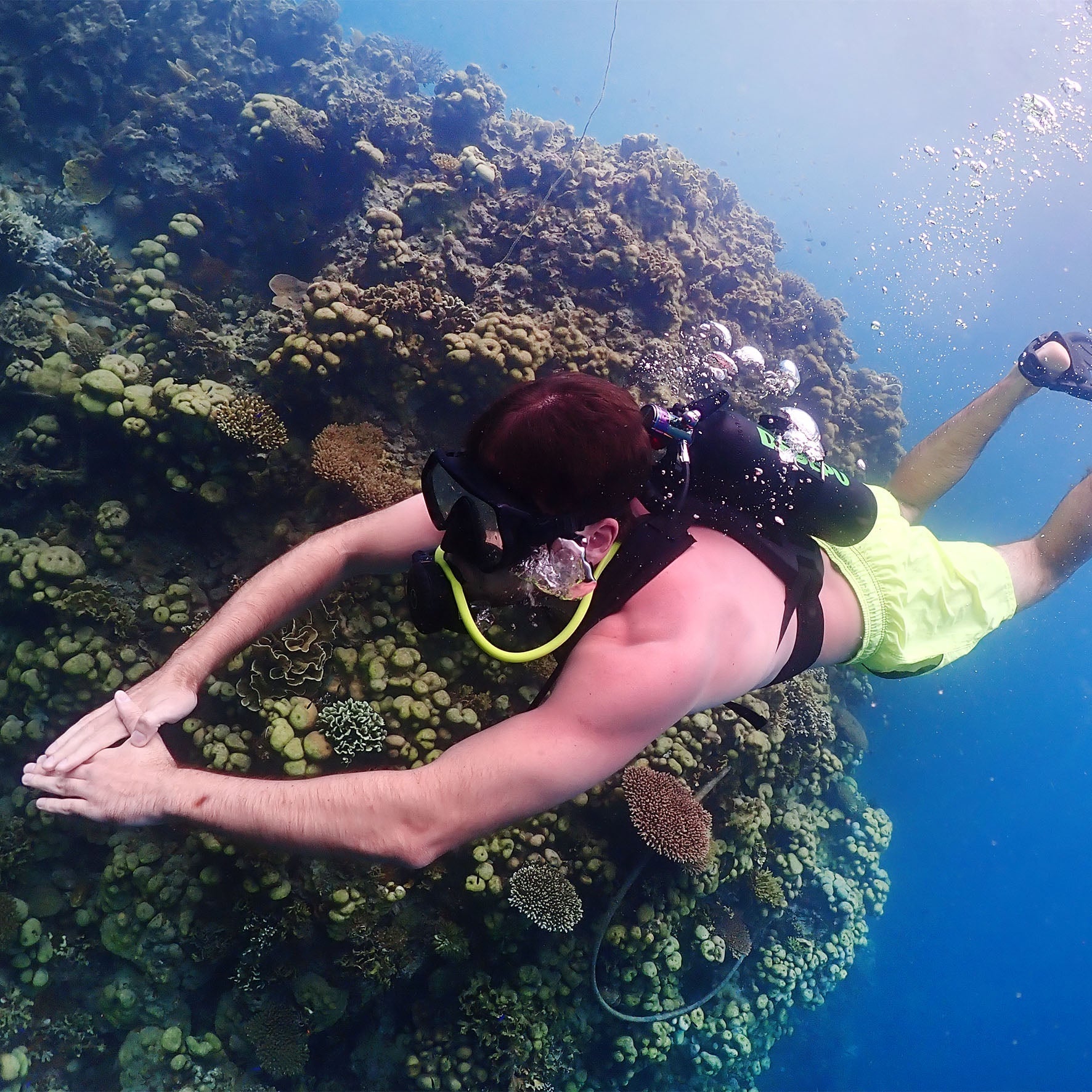 Maintenance Routine: 5 Tips for Mini Tank Care