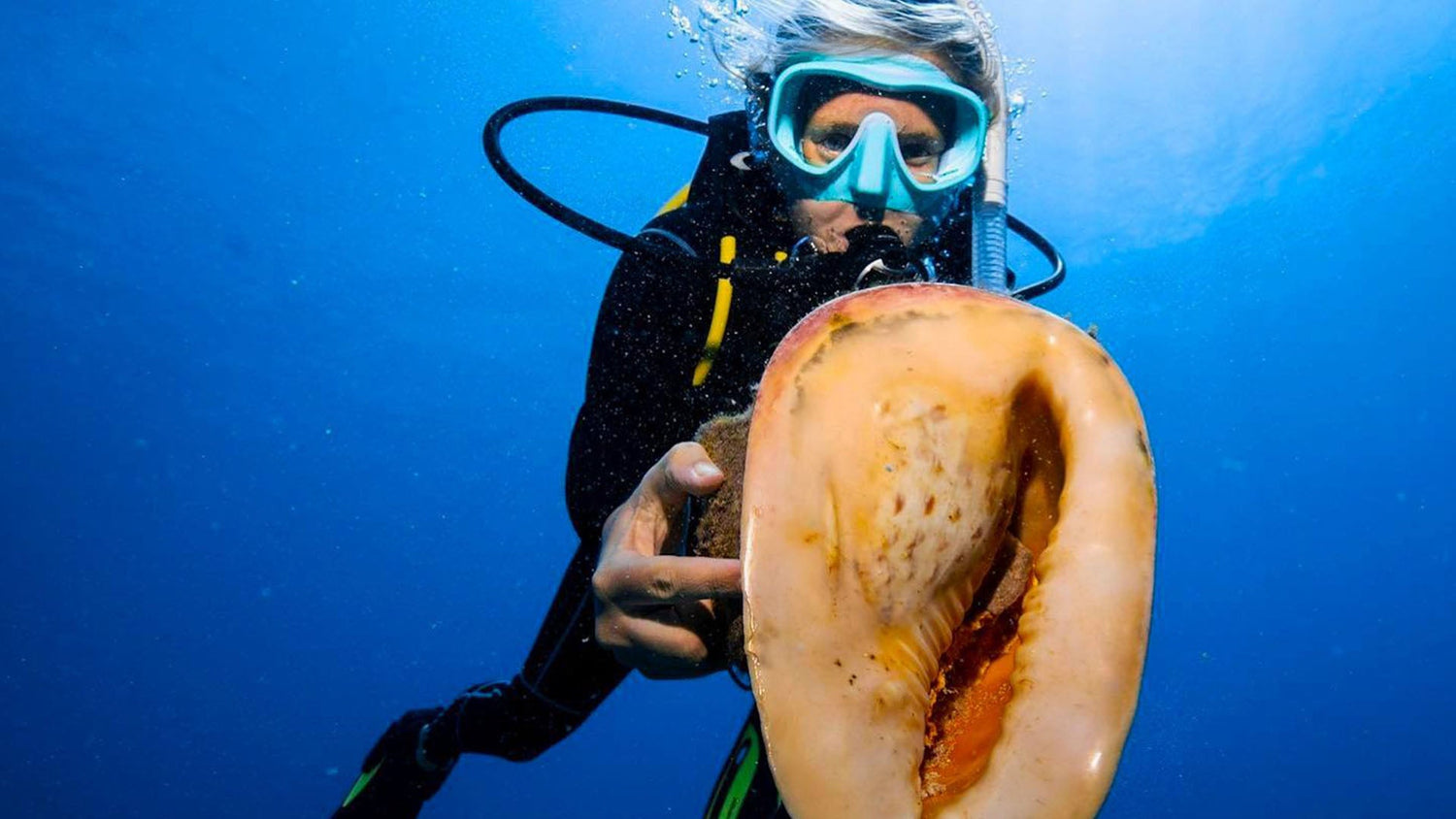 Essential Gear: 6 Snorkeling Items with Mini Tanks