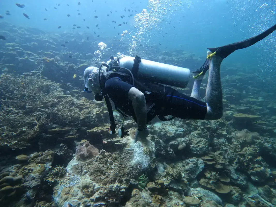 How to Choose Dive Tank Compressor Buyer's Guide 4 Steps