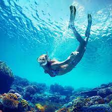 How to Clean Snorkel Gear: 5 Step Saltwater Removal Routine