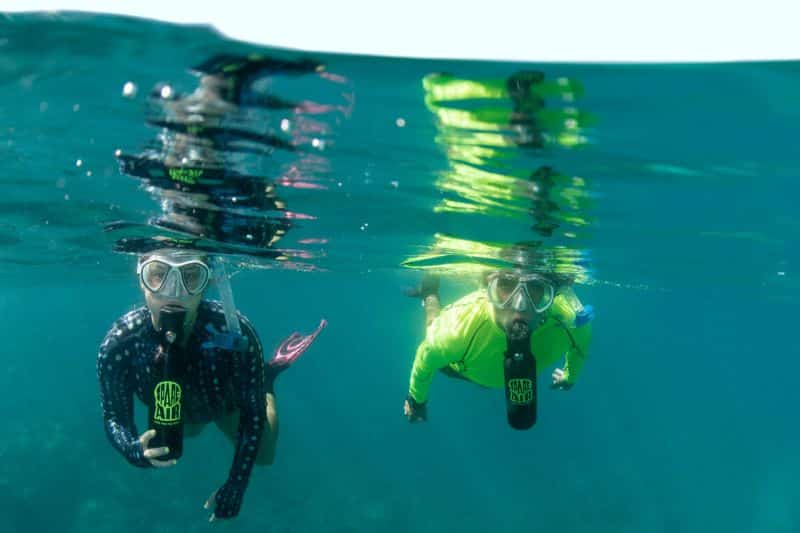 How to choose a mask for mini tank diving 4 features