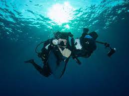 How to diagnose problems with a mini tank 5 common issues