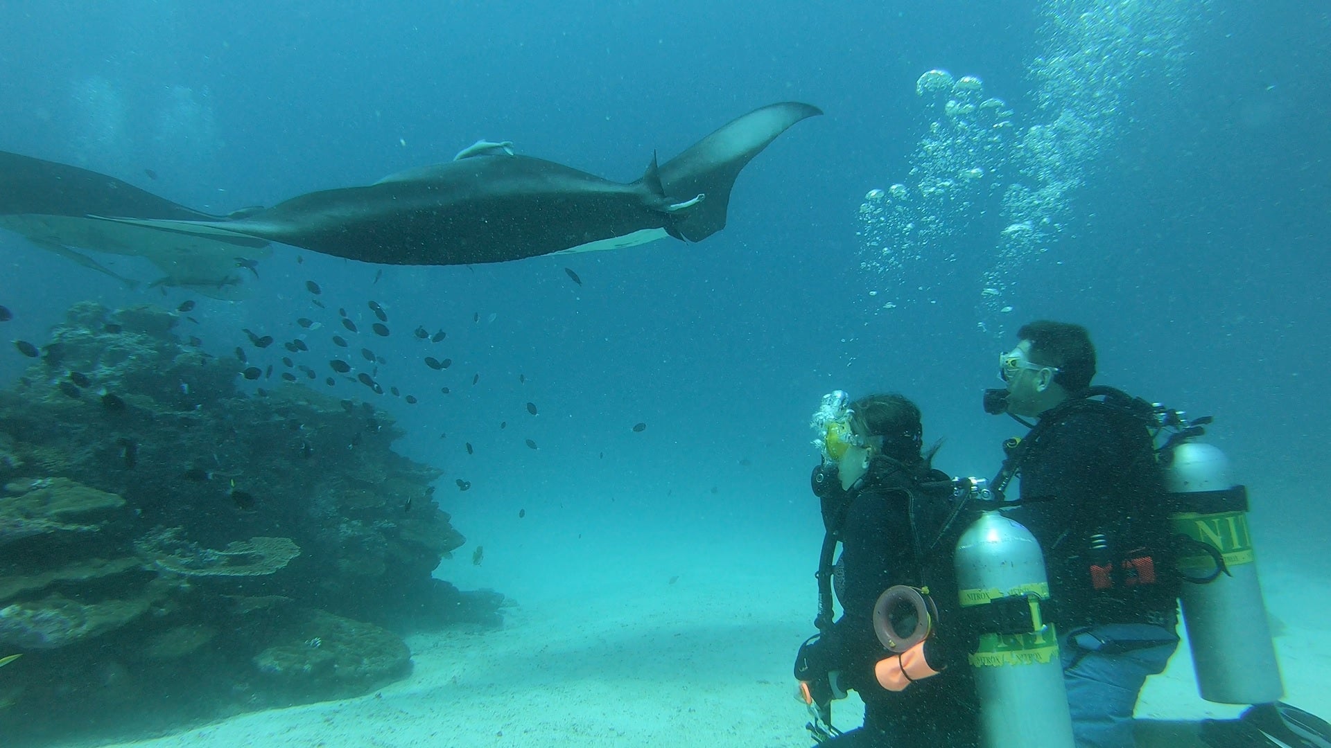 Portable vs. Stationary Diving Cylinder Compressors | How to Choose