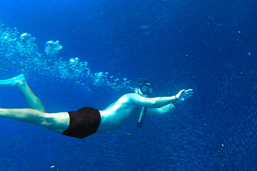 The 11 Best Scuba Diving Spots in the World