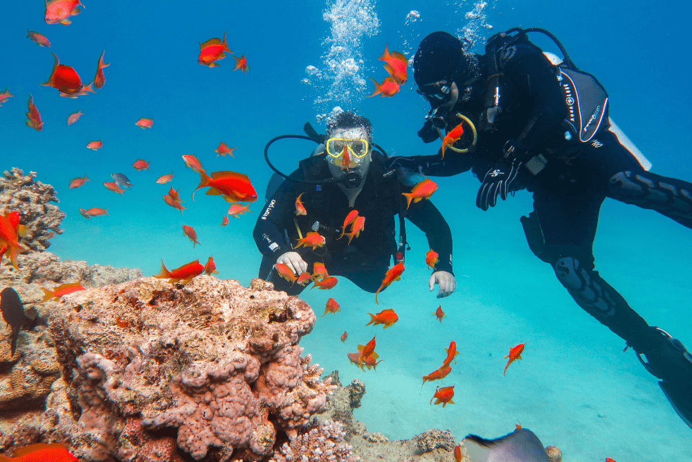 Why It’s Important to Check Your Scuba Tank Before a Dive