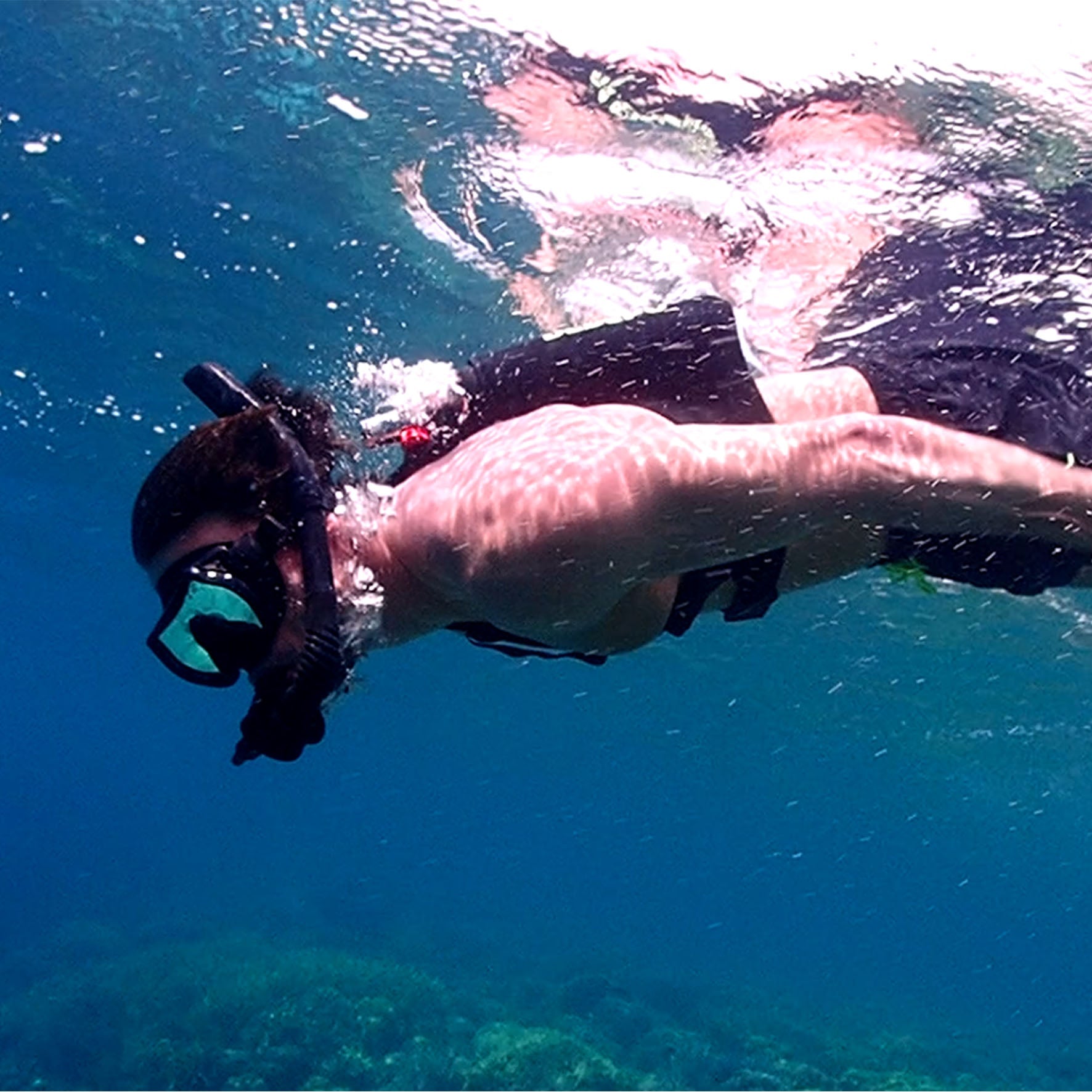 Best Mini Diving Tank for Short Dives | What Buyers Need to Check First