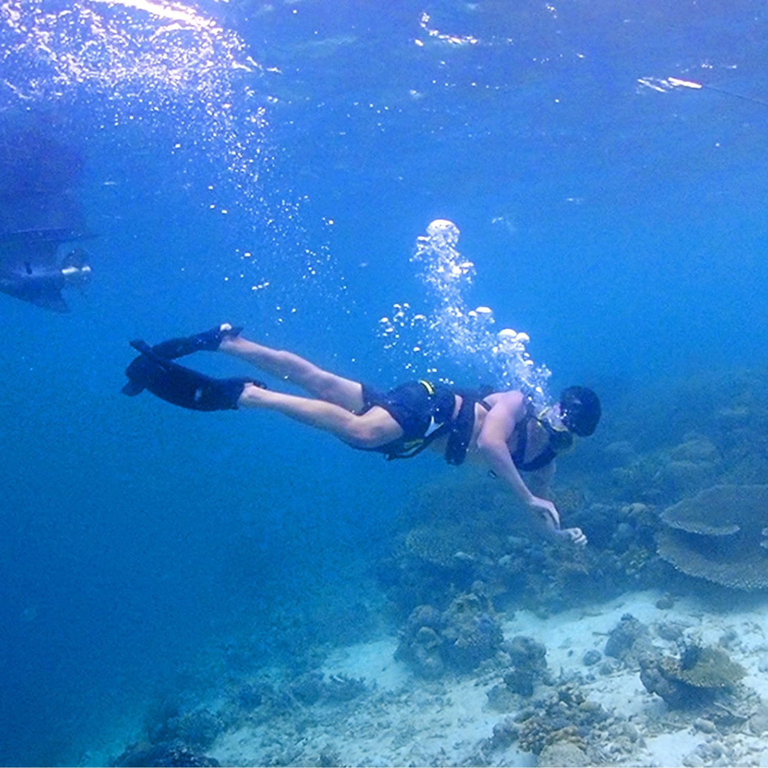 How Mini Scuba Tanks Improve Dive Mobility | Weight, Handling, Comfort