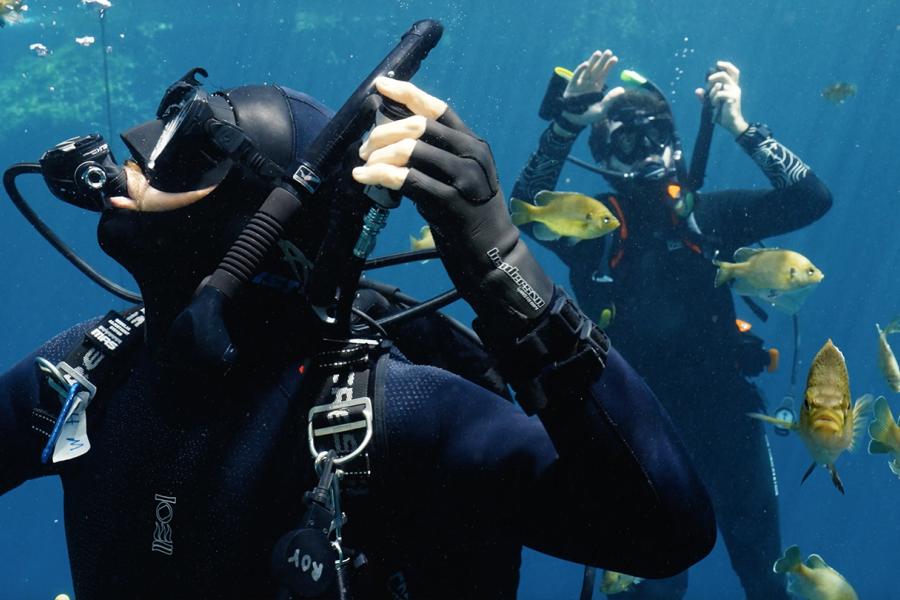 Mini Scuba Tank Regulator Setup: 5 Compatibility Checks
