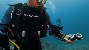 Essential Snorkeling Gear: 6 Items for Dive Preparation