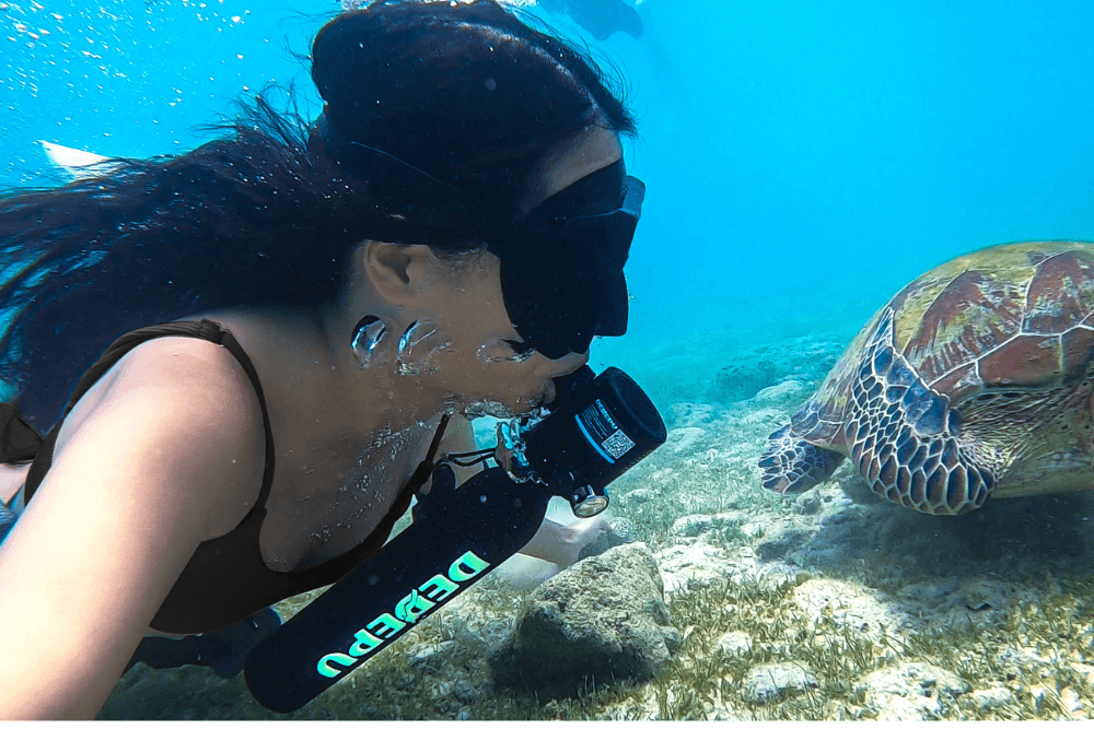 How Much Does Scuba Gear Cost?
