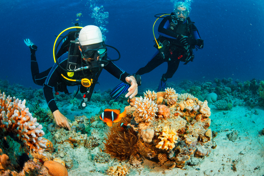 How To Know What Diving Weight You Need Free Diving