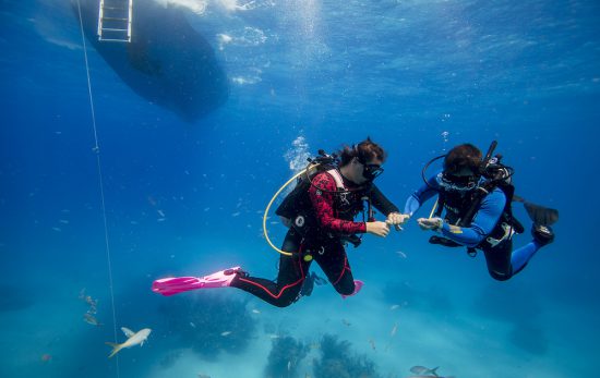 What are common mini tank failures 6 troubleshooting solutions