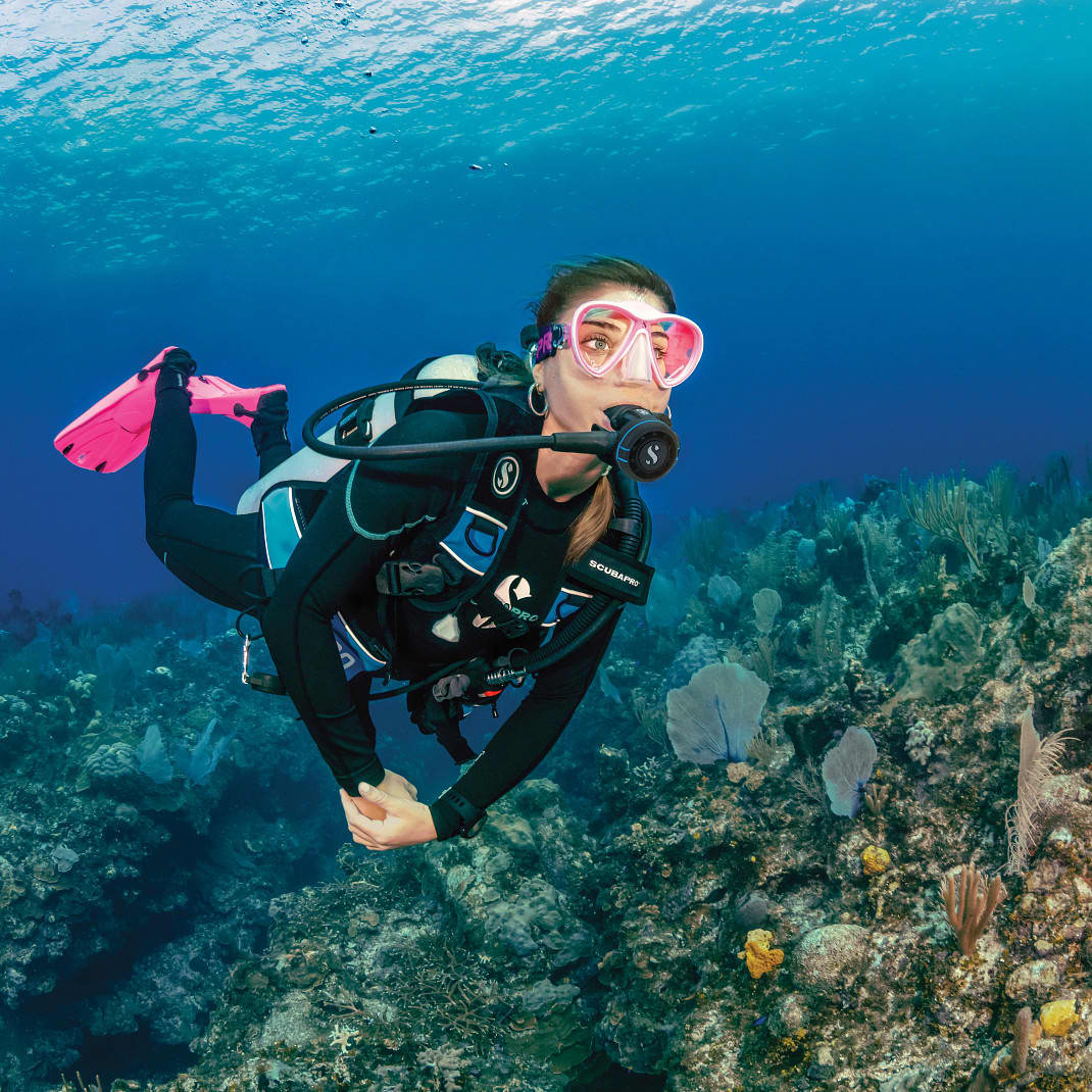Scuba Gear Storage: 5 Tips to Prevent Damage