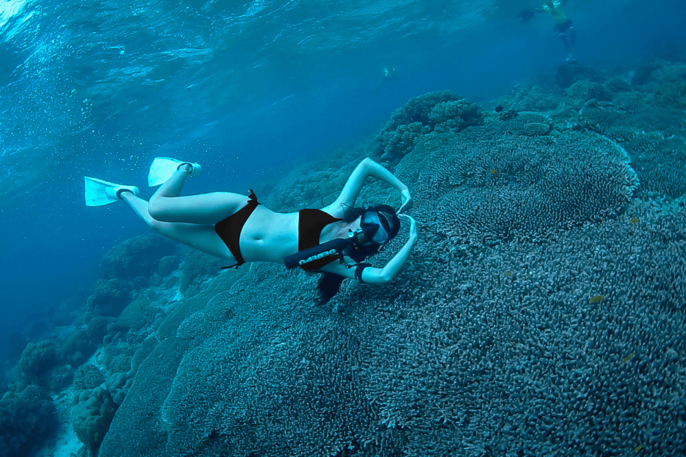 Scuba Tank Weight Guide: How Material, Size, and Air Affect Your Dive