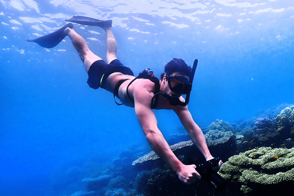 What Are Some Things To Do When You're Scuba Diving