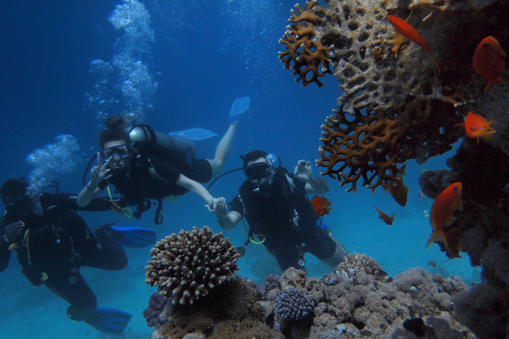 When Should You Not Scuba Dive?