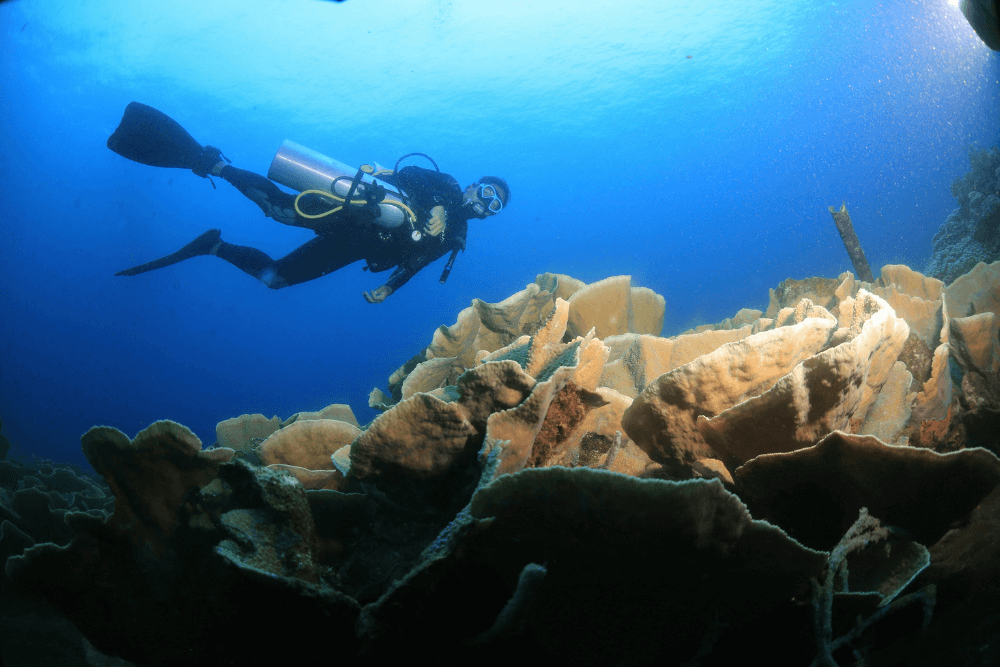 Why Proper Scuba Tank Filling Matters: Risks, Safety Tips, and Best Practices