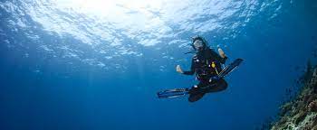 Dive tank holder options: 5 practical carrying solutions