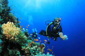 Steel vs aluminum scuba tanks: 5 maintenance differences