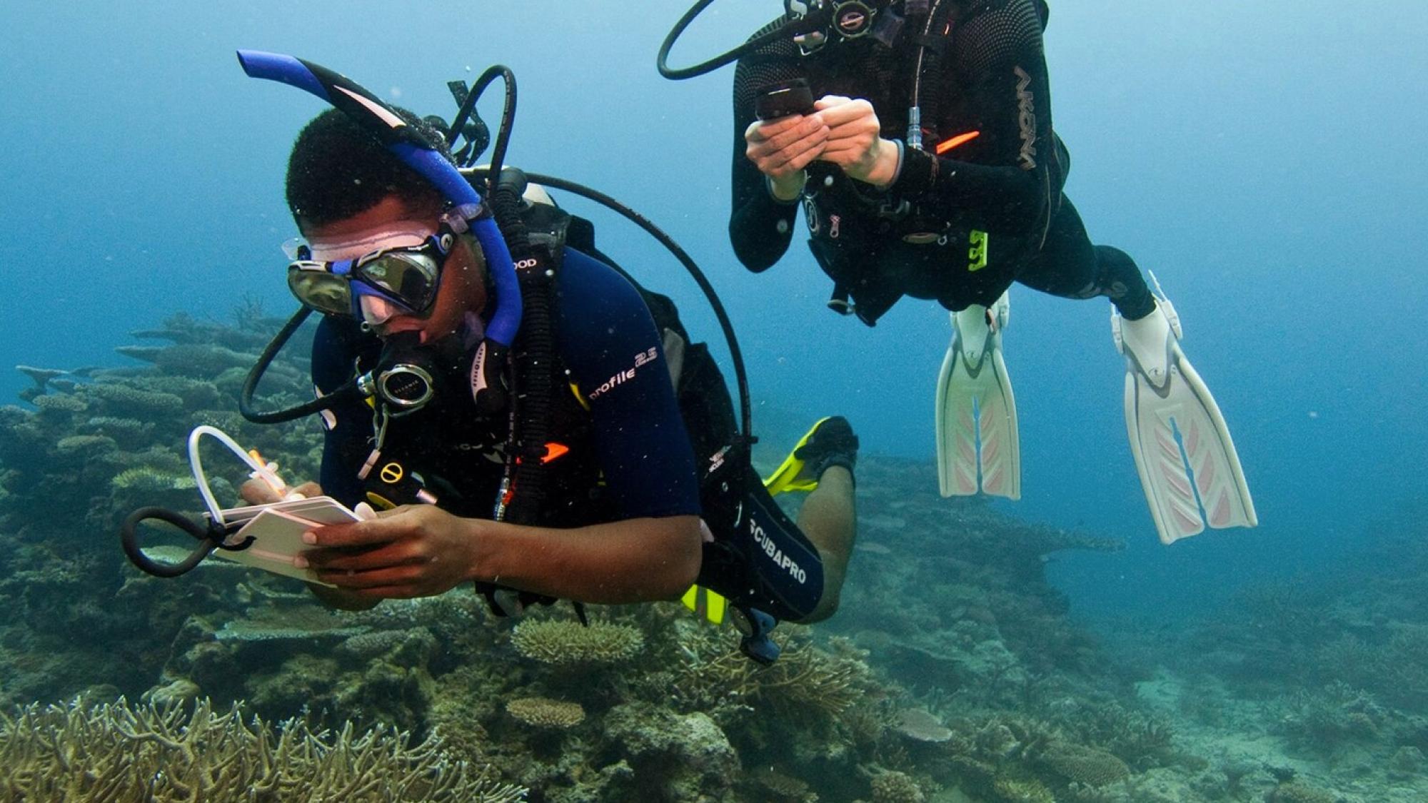 How to store snorkel gear long term 3 protection tips