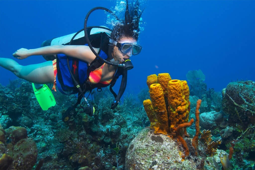 How to Solve Tank Moisture Issues: 5 Solutions